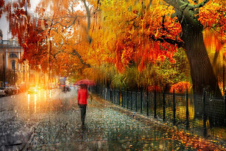 Необычные снимки Санкт-Петербурга осенью, дополненные красками.