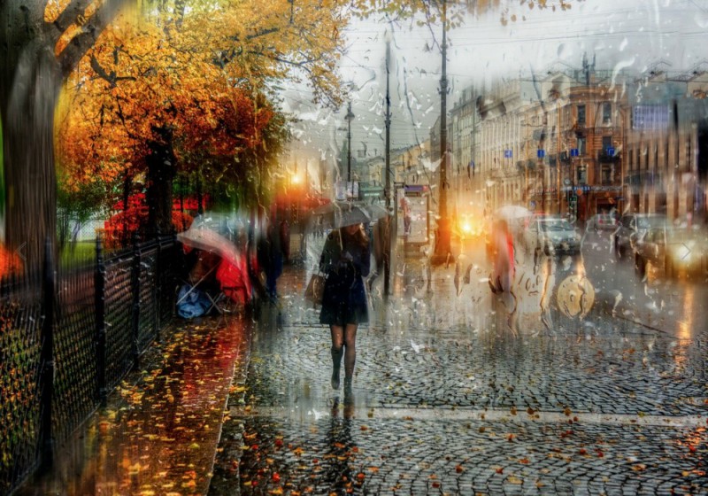 10 романтичных снимков Петербурга под дождем