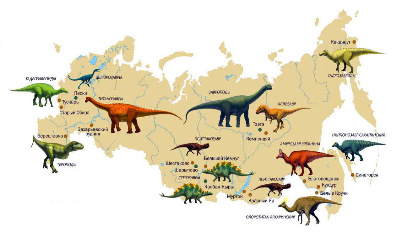 Динозавры в России: какие виды у нас жили, и почему о них так мало говорят