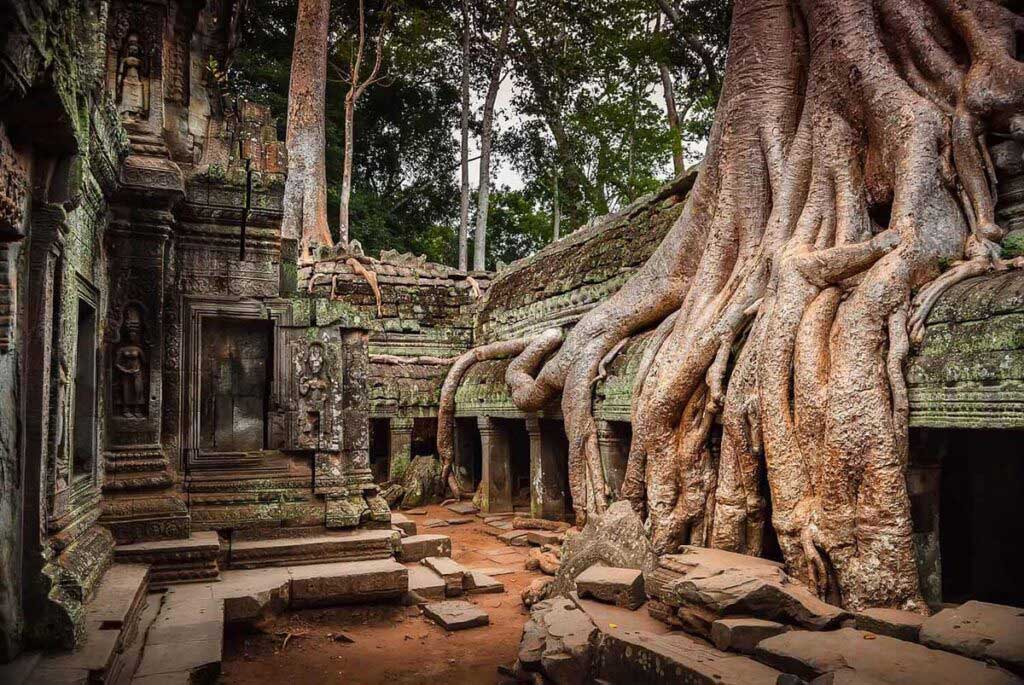 Корни огромных деревьев в Ангкор-Ват обвивают старые здания, Камбоджа