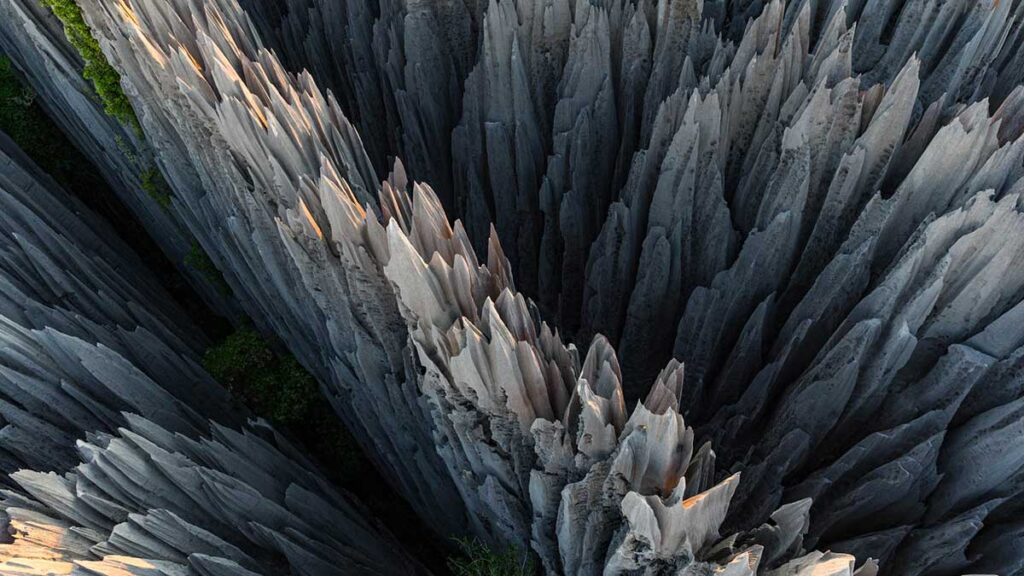 Цинги де Бемараха, каменный лес Мадагаскара
