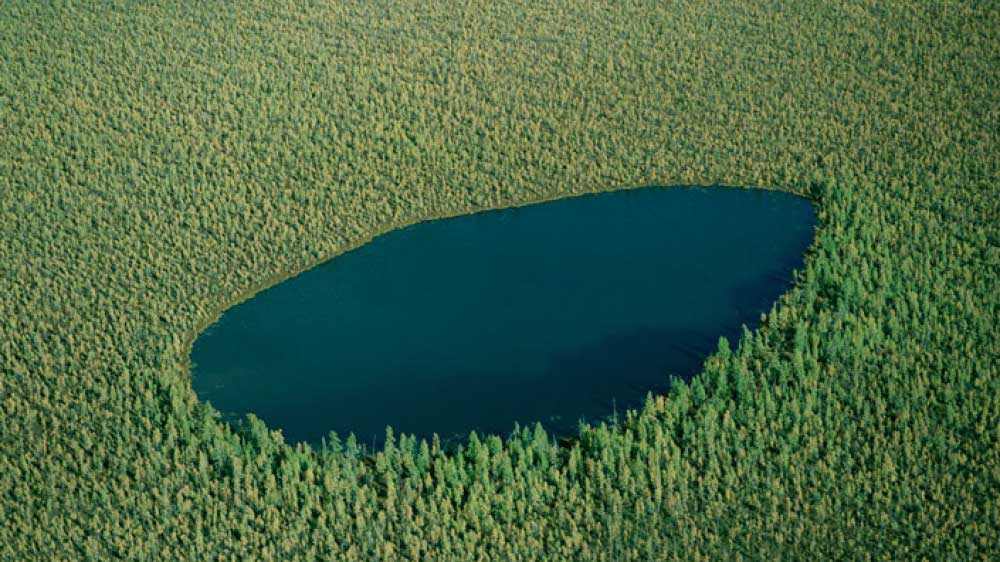 Лесное озеро, Россия