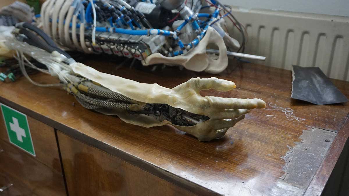 В Польше разработали роботизированную руку с синтетическими мышцами