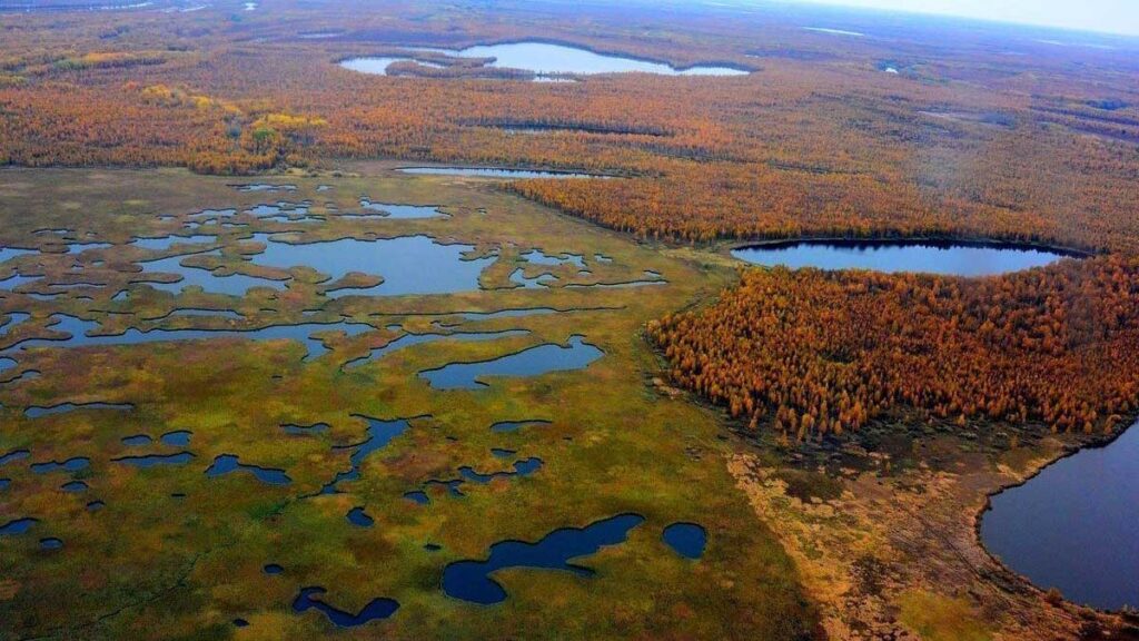 Васюганские болота, Россия