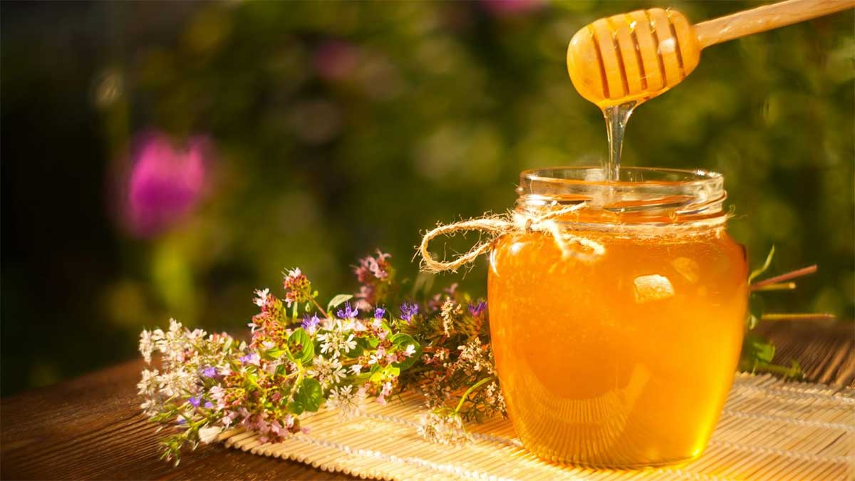 Можно ли есть мед при сахарном диабете
