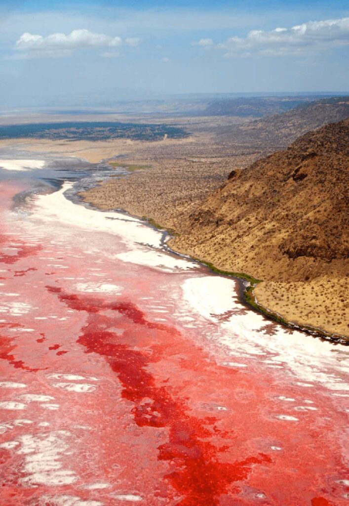 Красные воды озера Натрон - факты о которых вы не знали