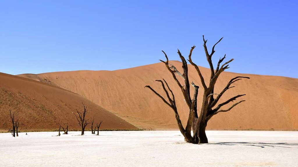 Пустыня Намиб - место, где ничего нет