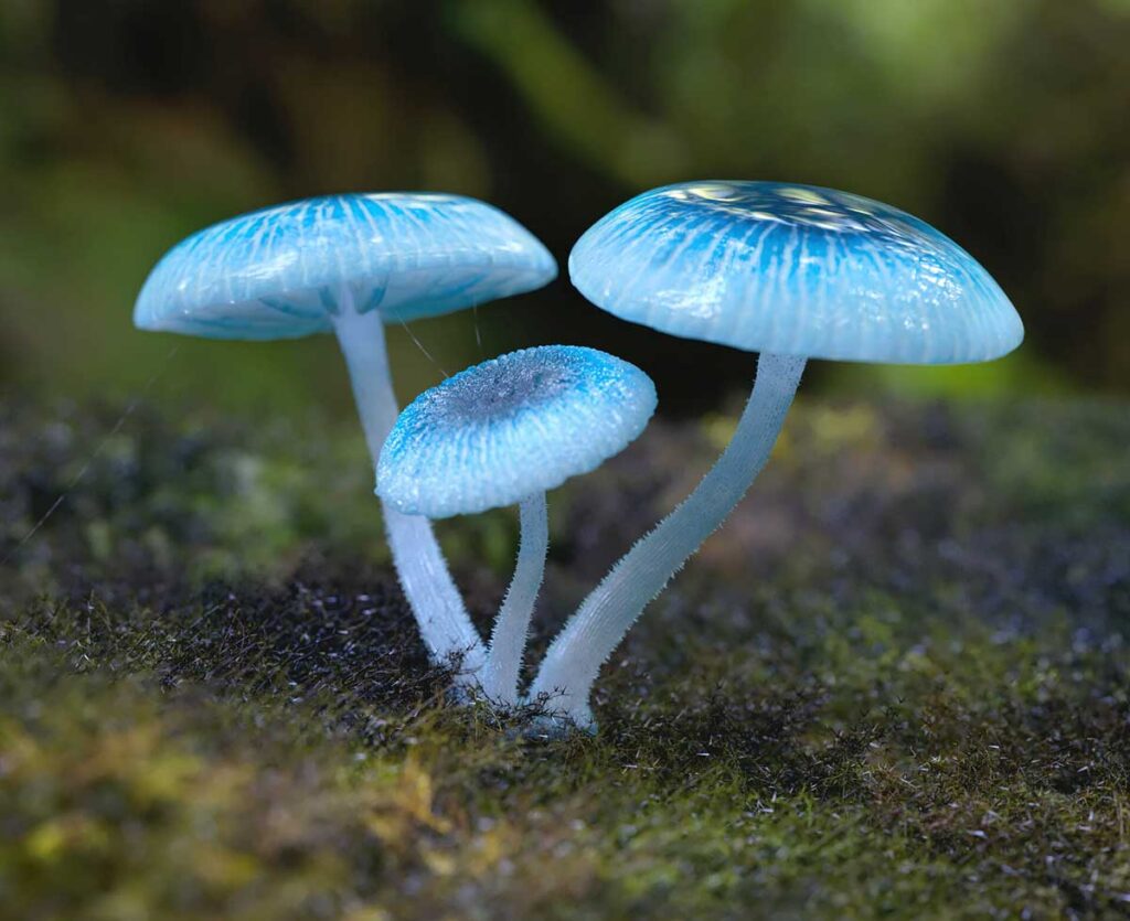 Мицена синяя - самый красивый гриб на фото