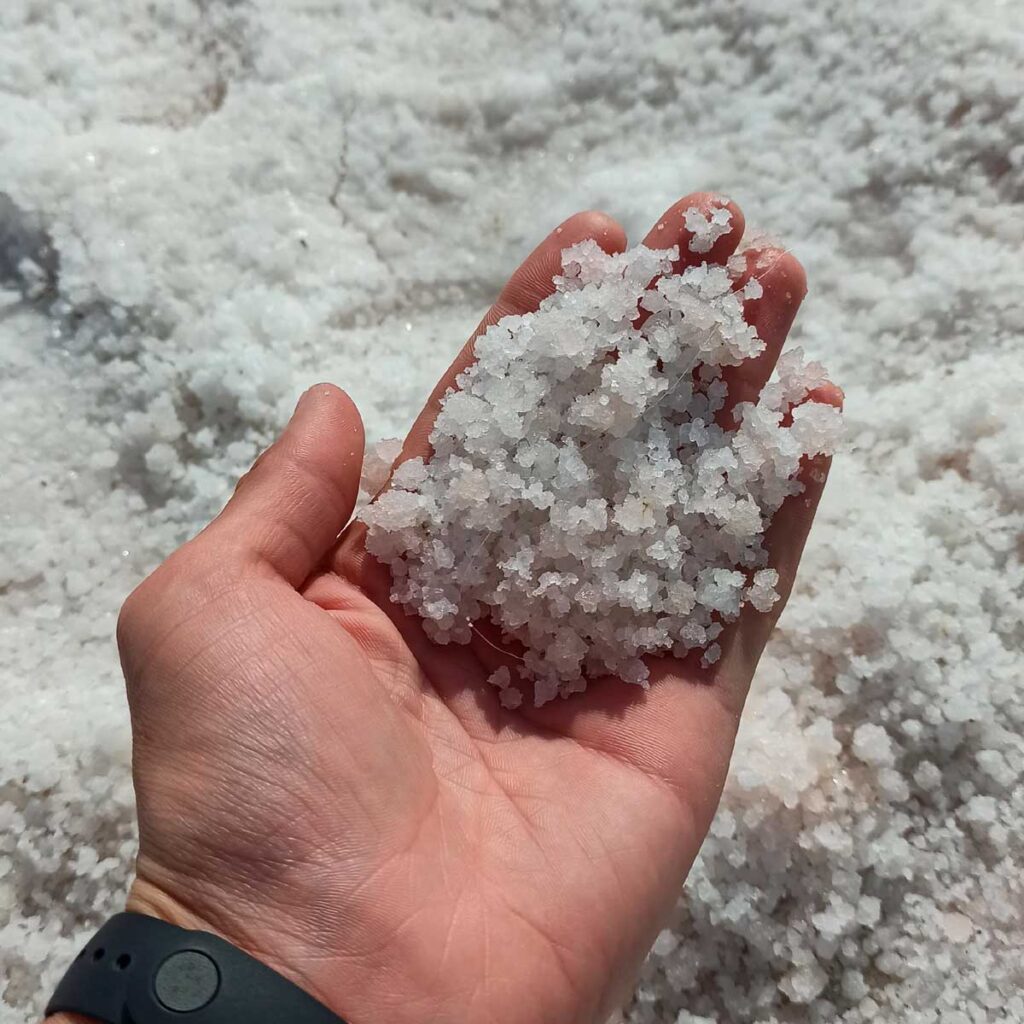 Бурлинское озеро — крупнейший источник поваренной соли в Западной Сибири