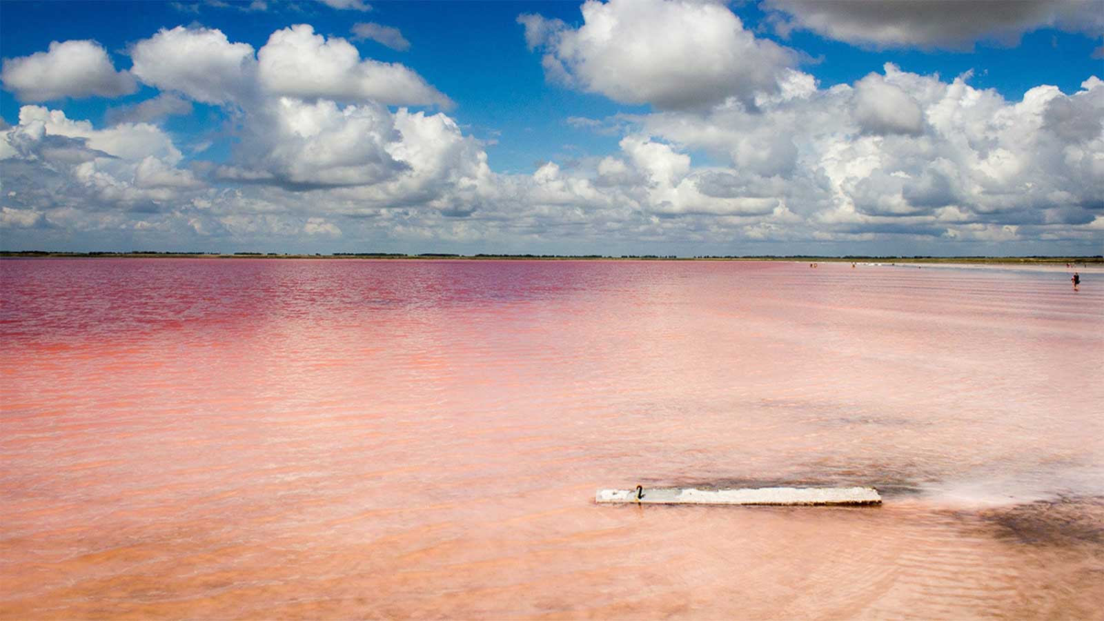 Озеро Бурлинское в Алтае: розовая вода, соль, лечебные грязи