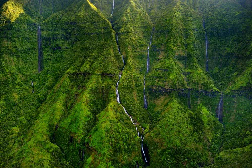 Дожди на склонах вулкана Ваиалеале идут практически постоянно, Гавайи
