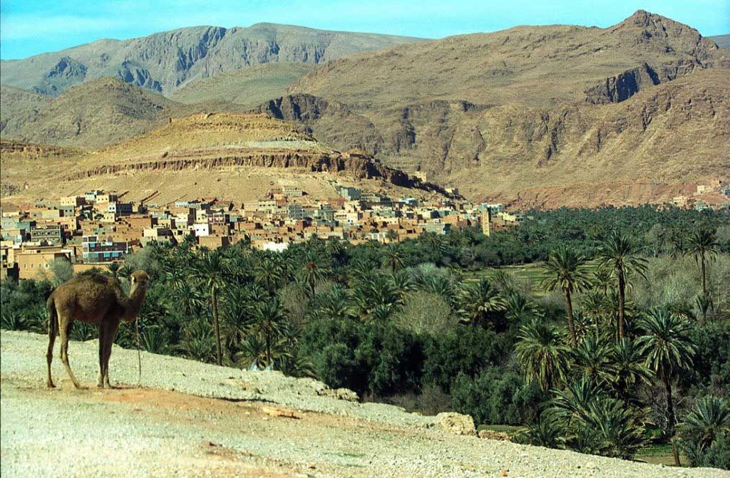 Путешествие по Марокко, долина Дадес