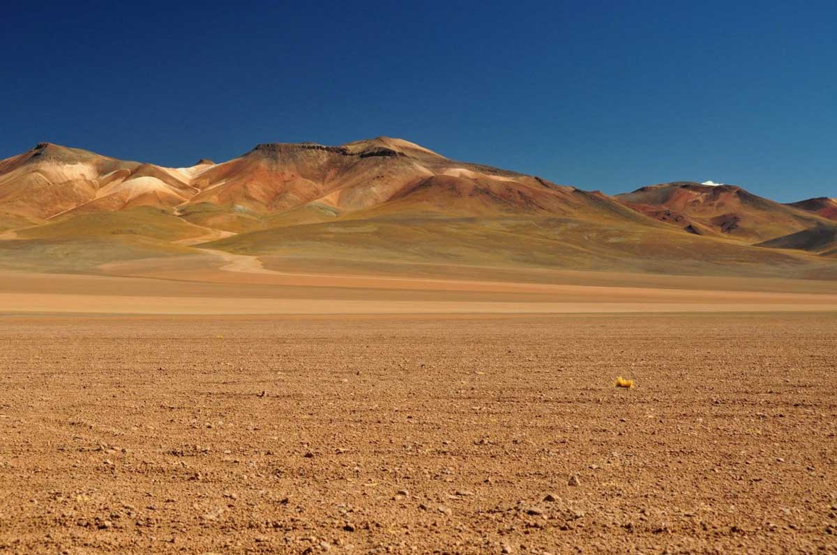 Атакама: пустыня в Чили, где никогда не было дождя