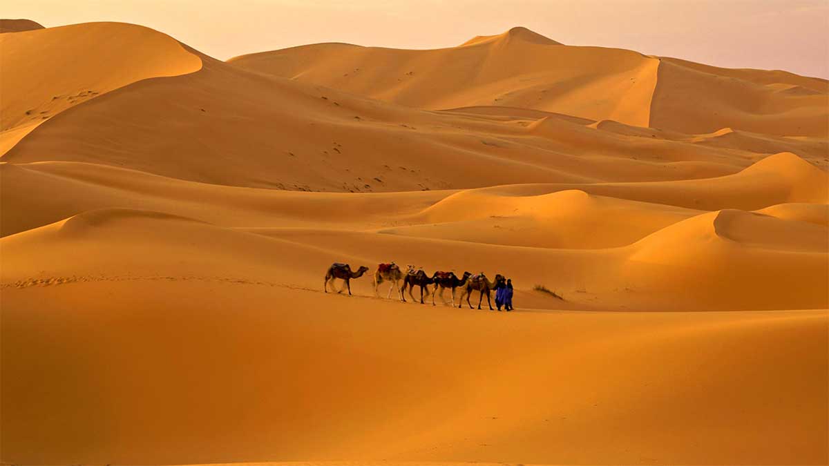 Сахара - крупнейшая жаркая пустыня на Земле