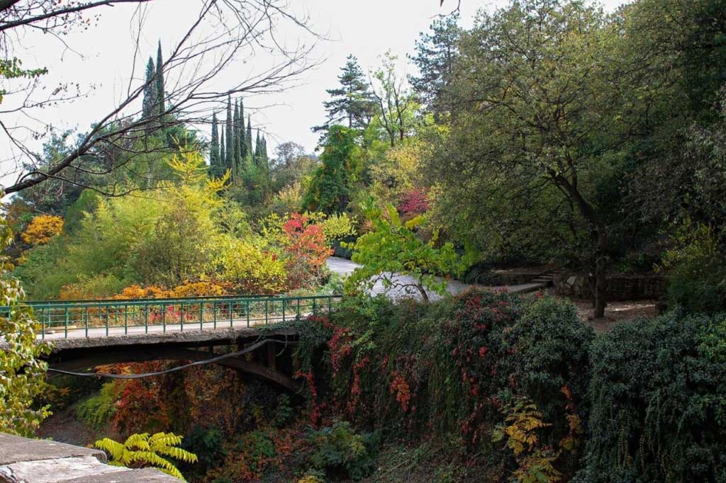 Тбилисский ботанический сад, Тбилиси