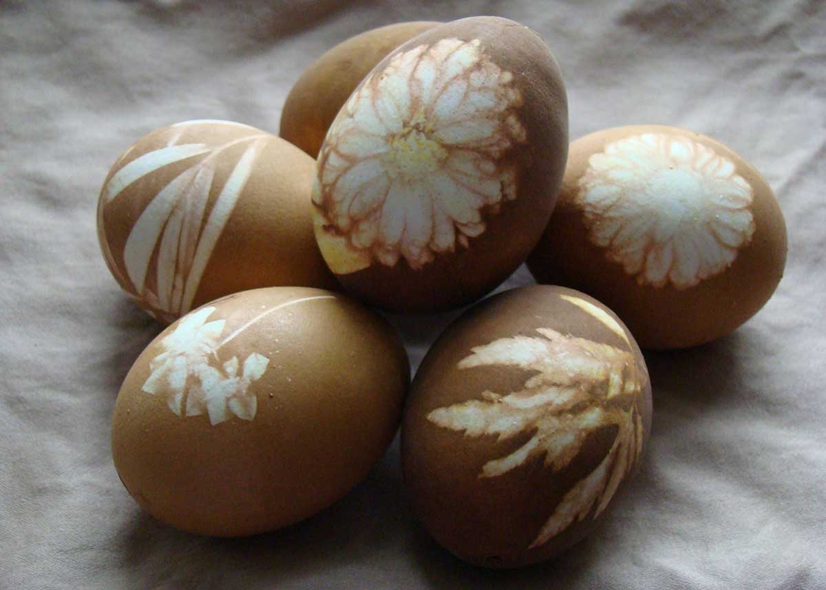 Как покрасить яйца кофе или чаем: натуральные красители