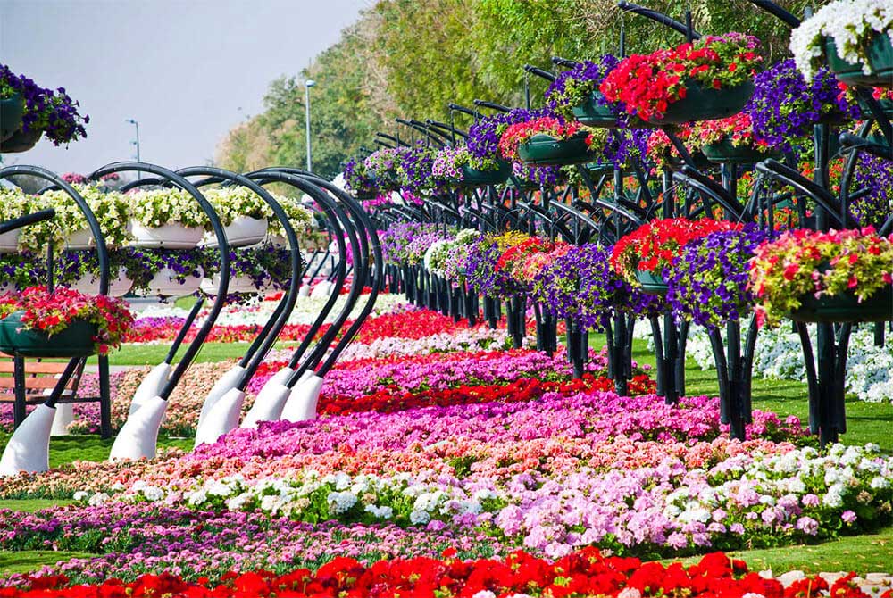 Парк цветов (Аль-Айн), ОАЭ