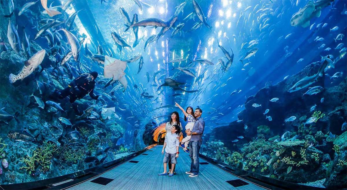 Для посетителей Дубай Молл открыт ледовый каток, работает самый большой в Дубае аквариум и подводный зоопарк, имеются парки аттракционов