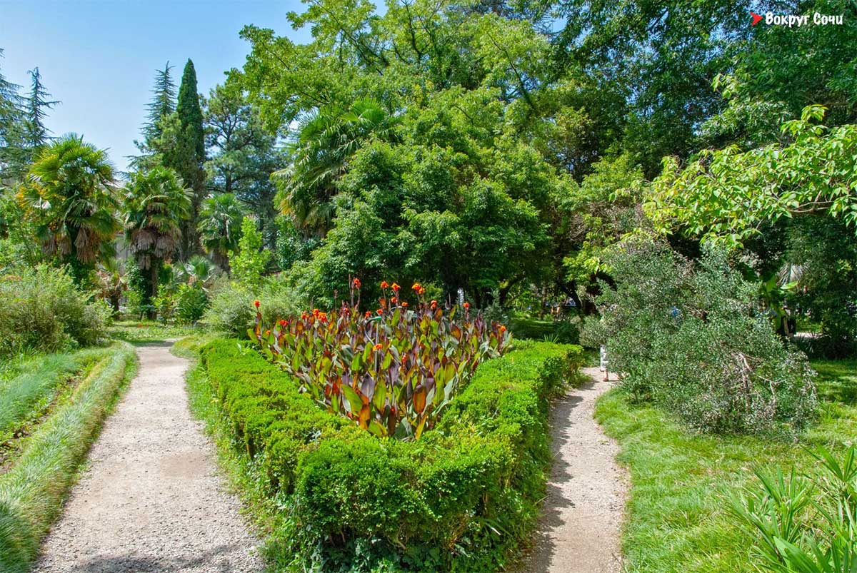Сухумский ботанический сад (г. Сухум), Абхазия