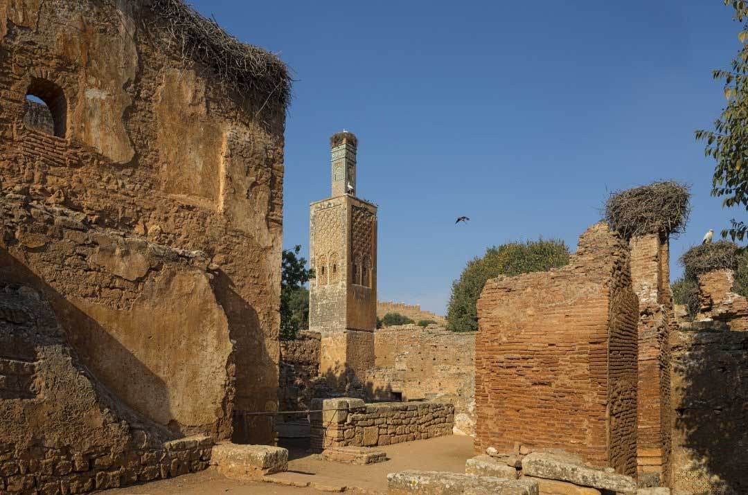 Некрополь Шелла (Руины Сала Колония). Марокко, Рабат
