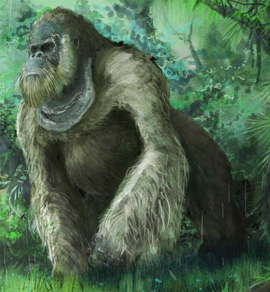 Гигантопитек - самый крупный примат в истории