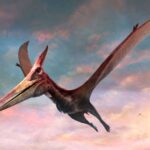 Птеродактиль — летающие рептилии юрского периода